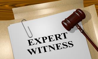 Expert Witness